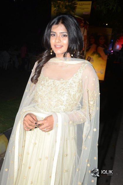 Nanna-Nenu-Naa-Boyfriends-Movie-Audio-Launch